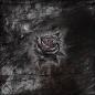 Preview: Set Rose Tattoo - Kunstleder Taschenpanel